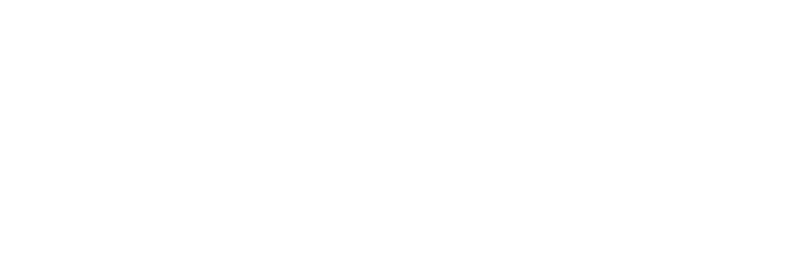 Cami360